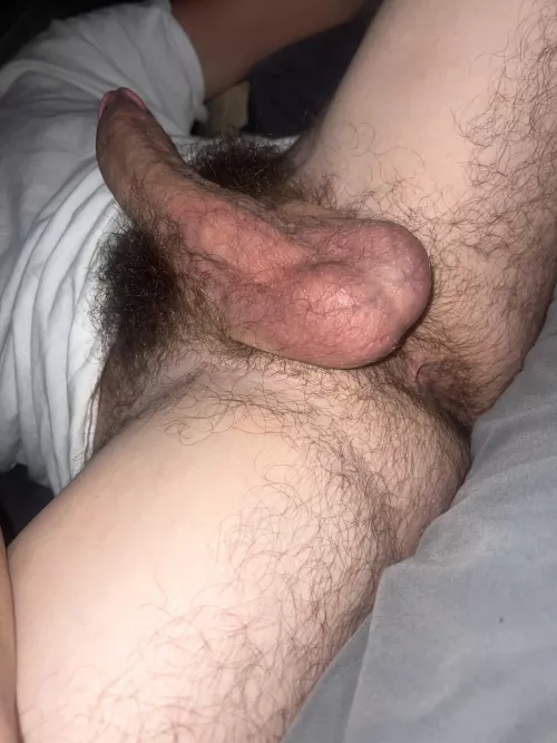 Hairy cock & ballz 🔥