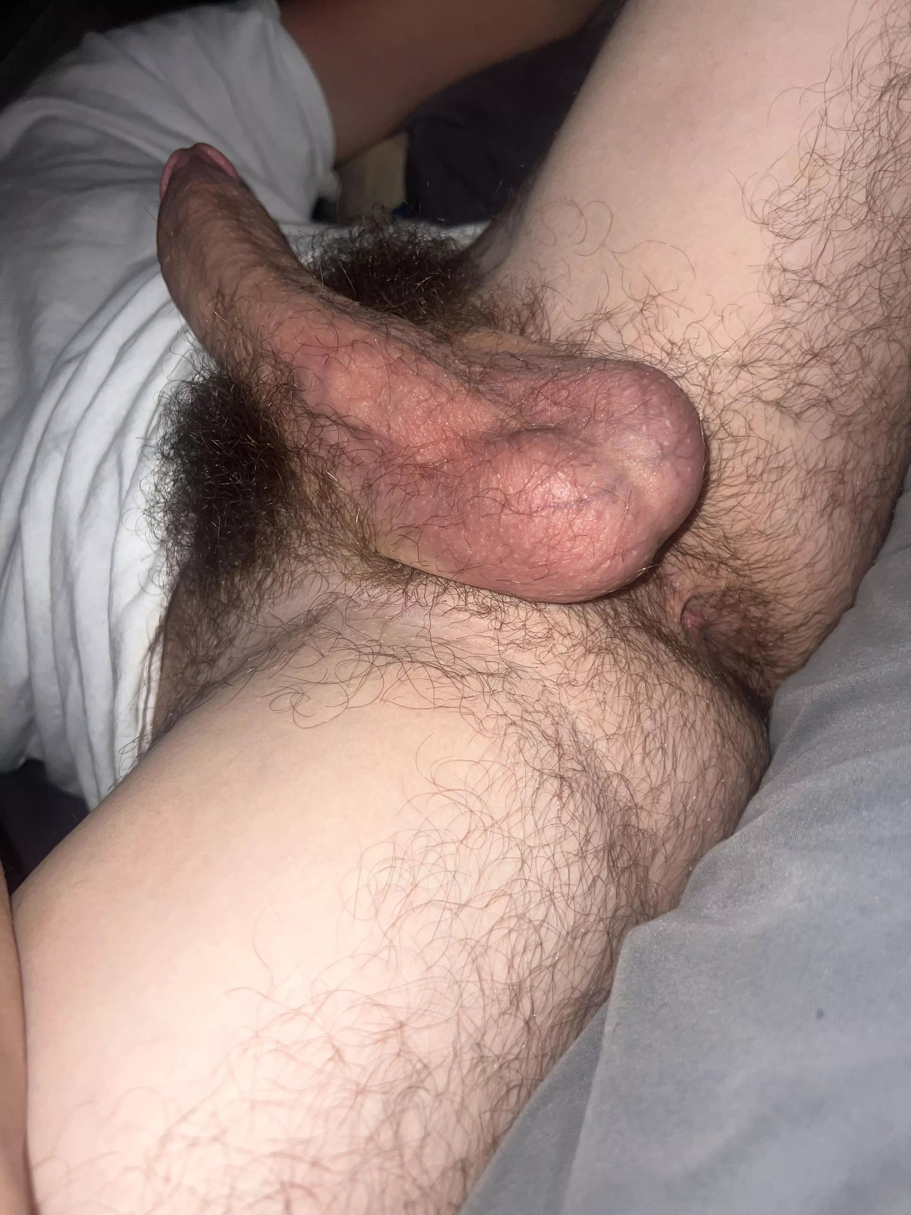 Hairy cock & ballz 🔥