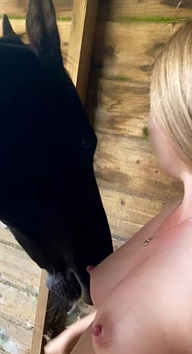 Have to watch out I don’t get “nibbled” when I’m nude at the stables 