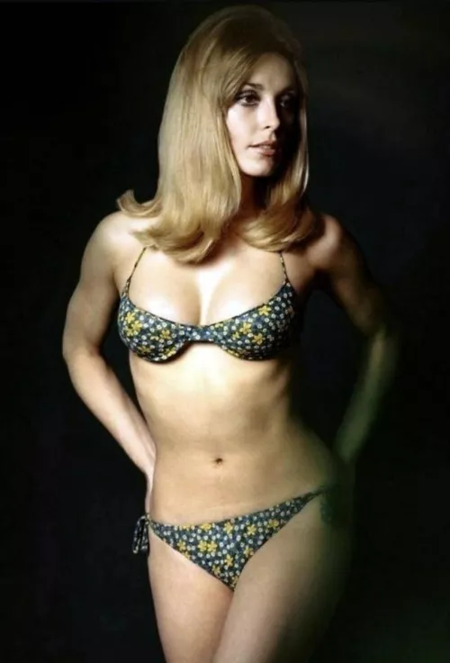 Sharon Tate(1967)