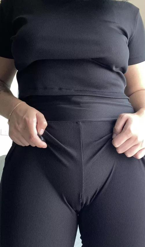 Such a thick camel s paw