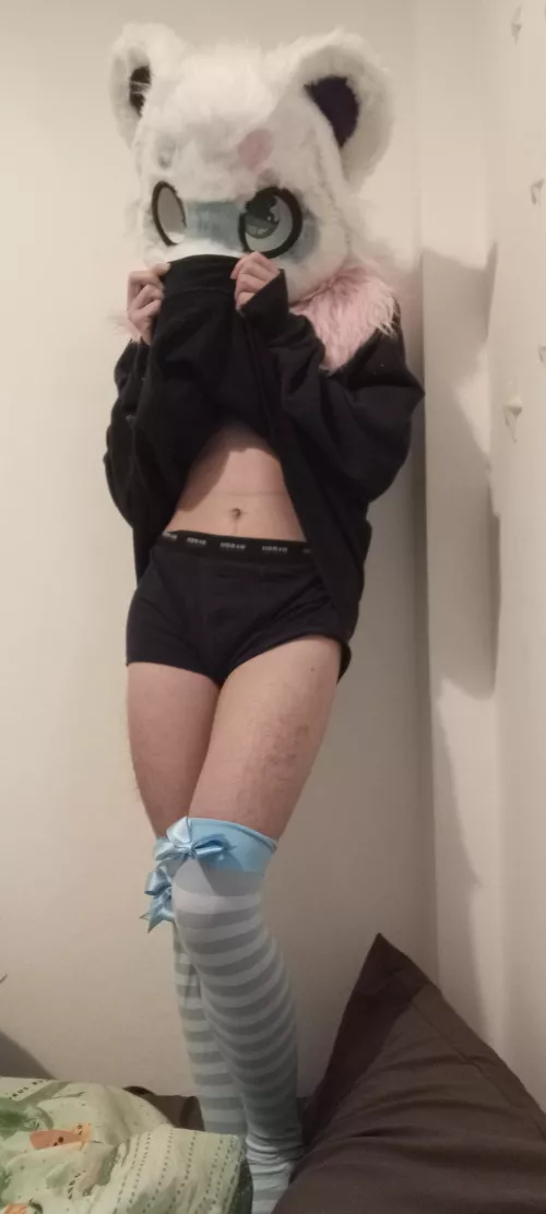 Would you help me to start murrsuiting?