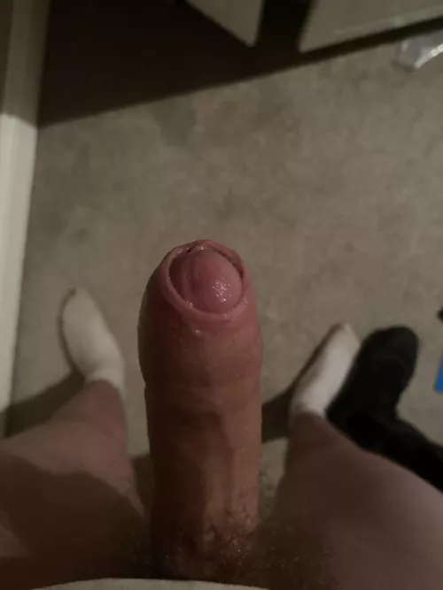 Anyone like my wet cock ?