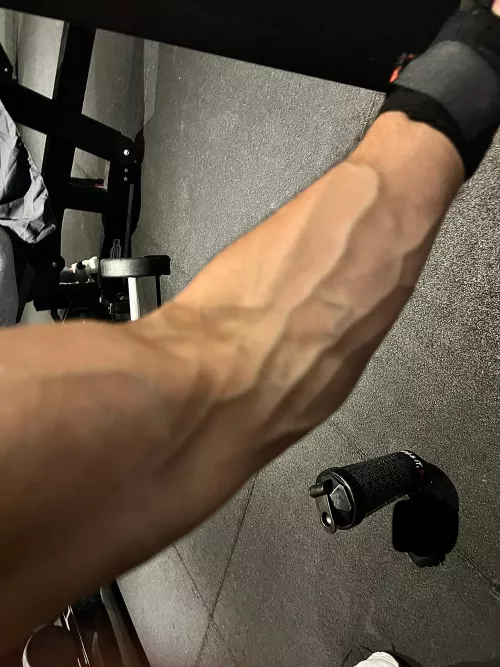 Give me the next witty caption