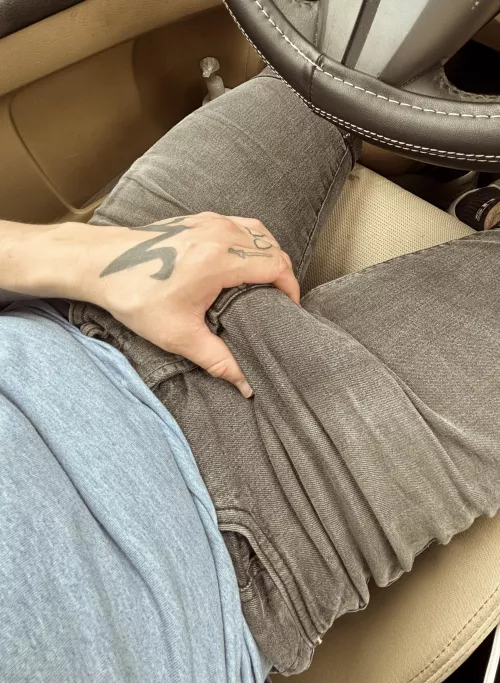 If you were my passenger princess, I’d expect you to pull it out (32).