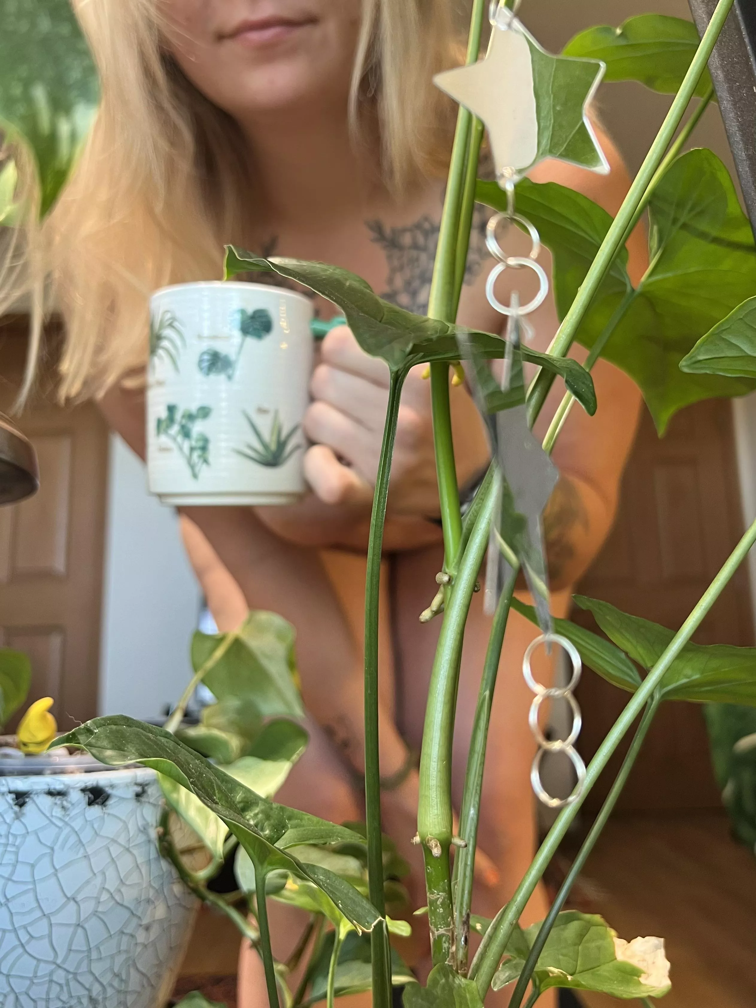 Join me for a naked cup in the plant room?
