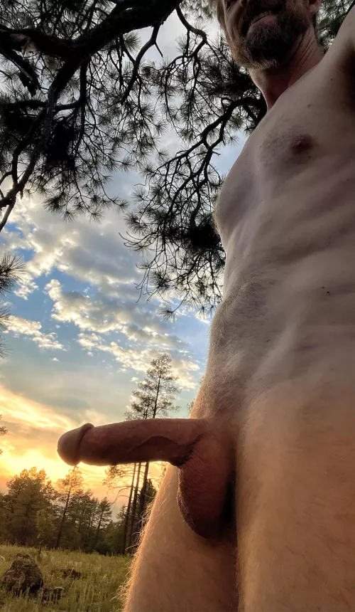 Magic hour lighting!