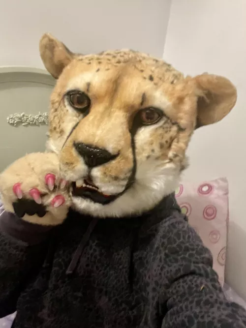 Say hai to my new (to me) cheetah partial !! 🐆