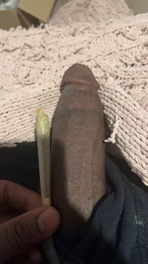 Team Black or [m] Team Green #houseofthedragon