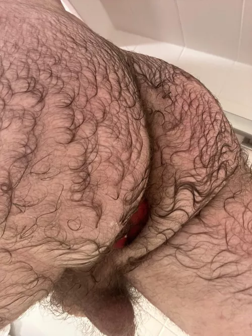Want to play with my hairy plugged ass? 