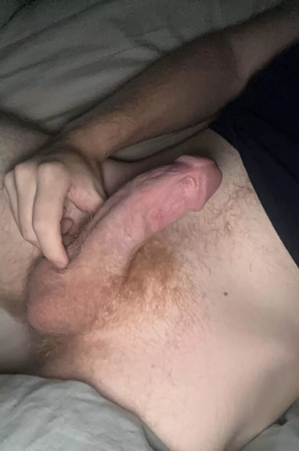 22 need help with my hairy cock, dm me :’)