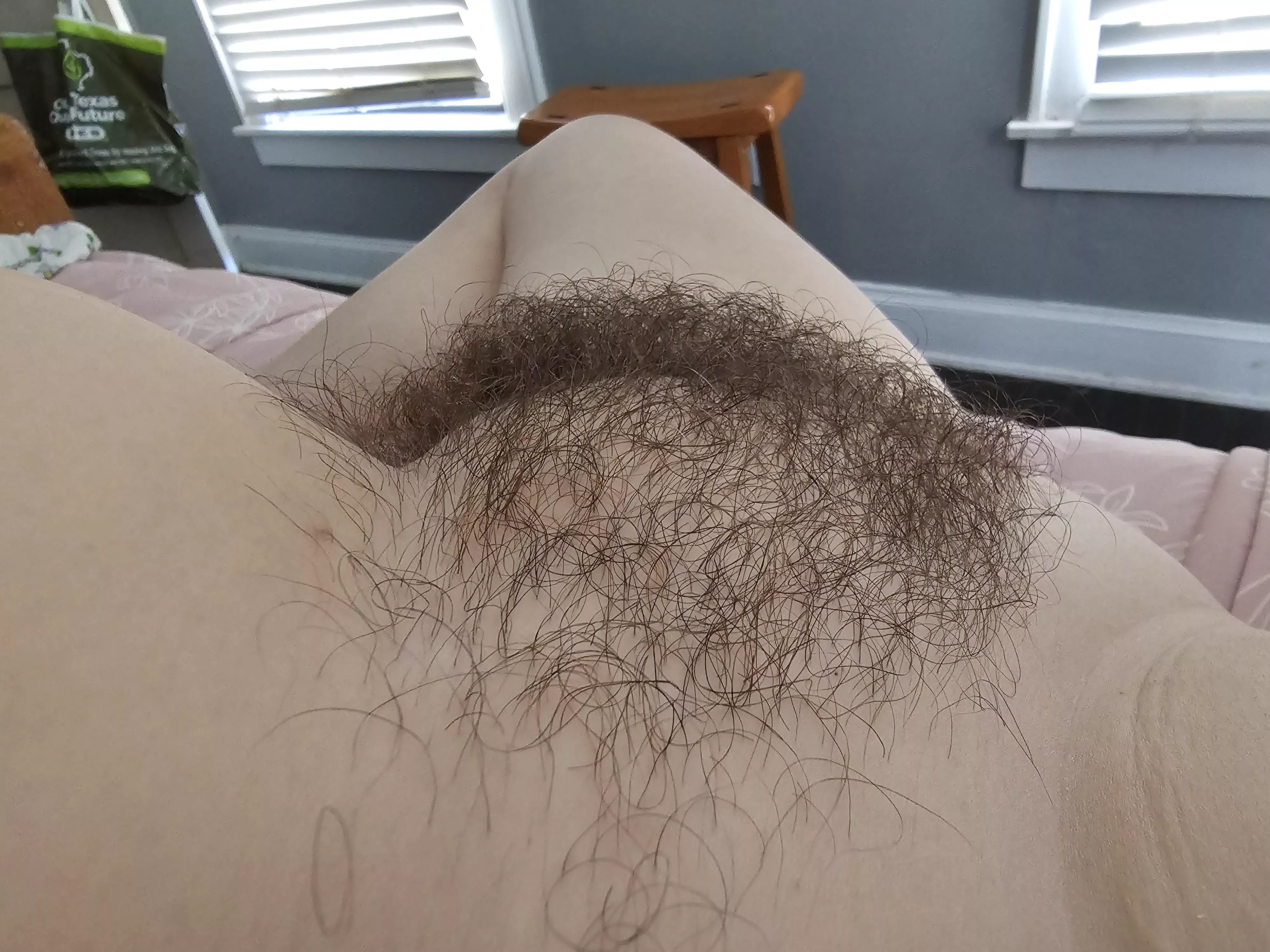 Conquer and name my hairy mound for your own