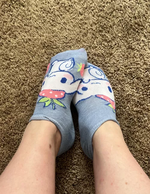 Little socks are the best way to start the day! 