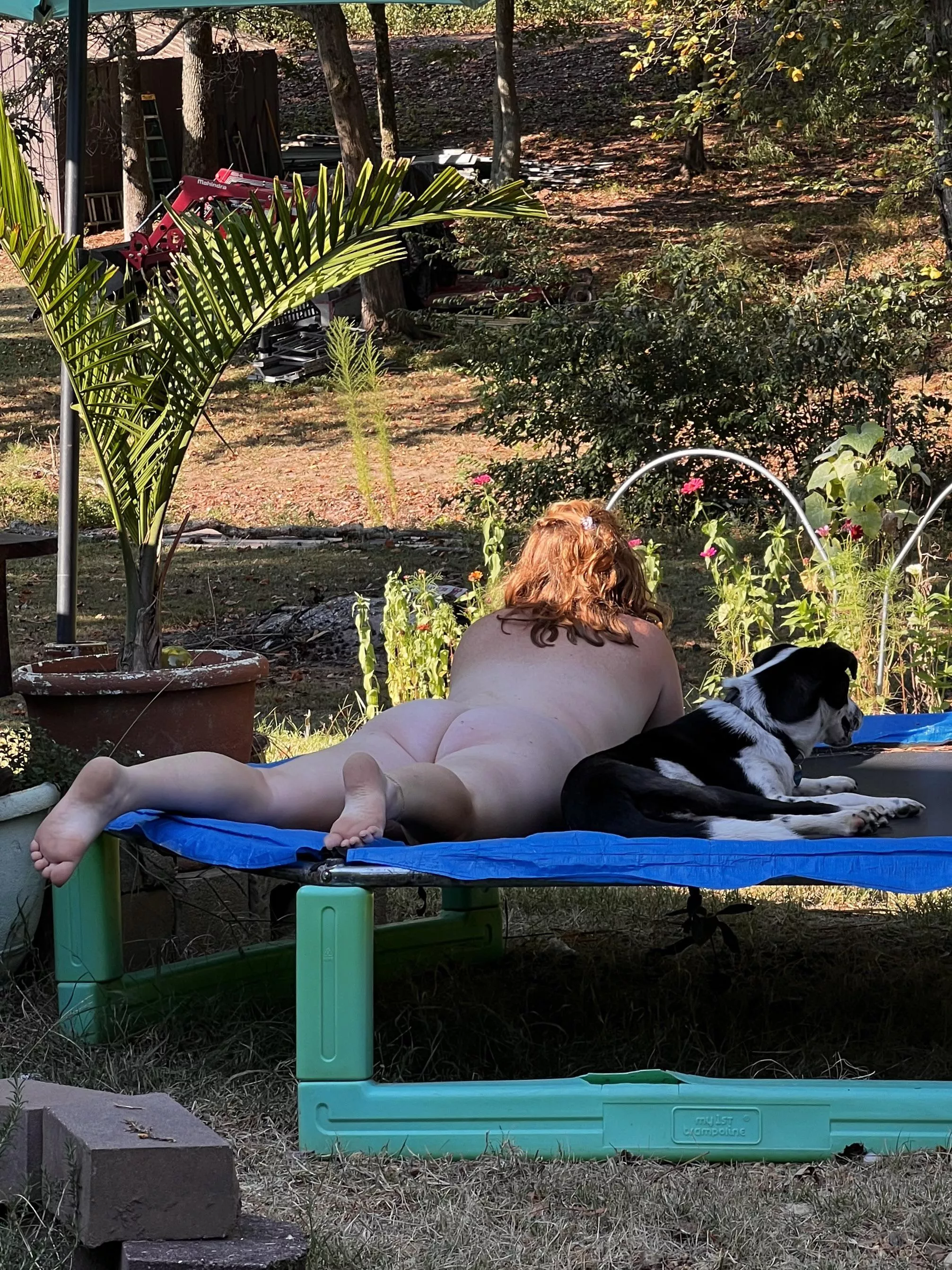 Morning Coffee and birdwatching in our Nudist friendly backyard. 