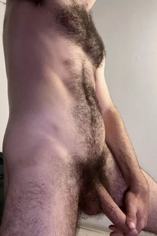 What do you think of my bush?