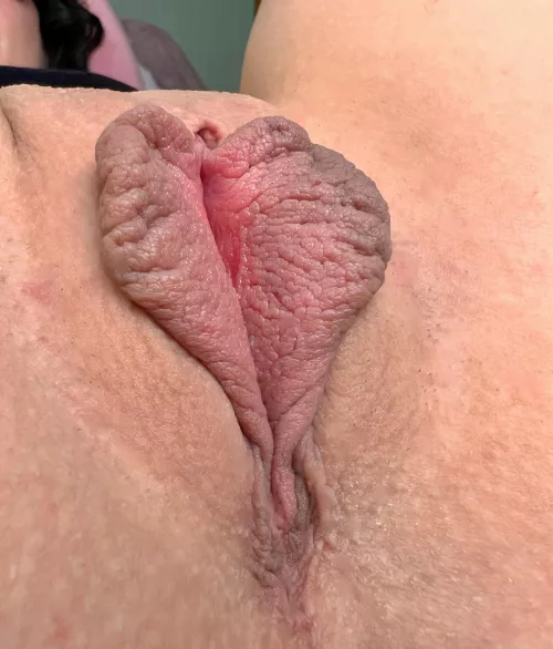 Wings to get lost in 💕