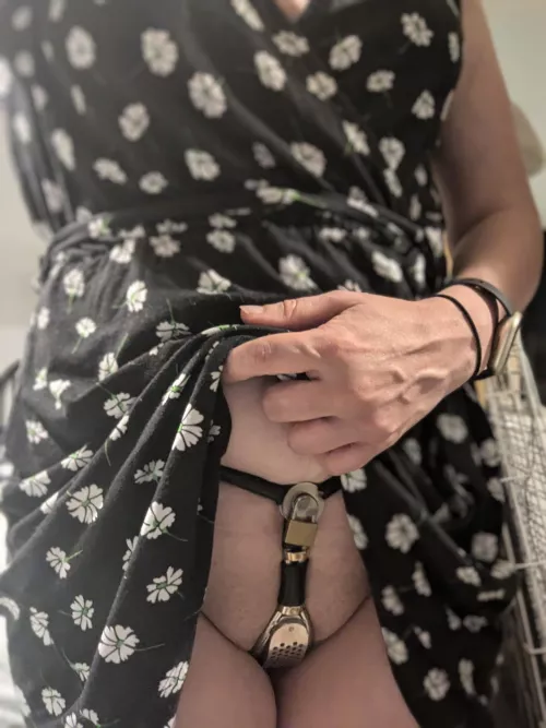 1440 Days Locked: Day 6 (+1)