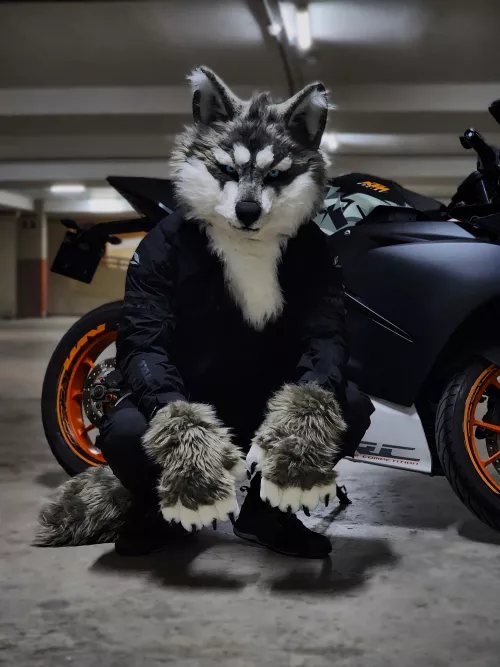 Anybody up for a spin?