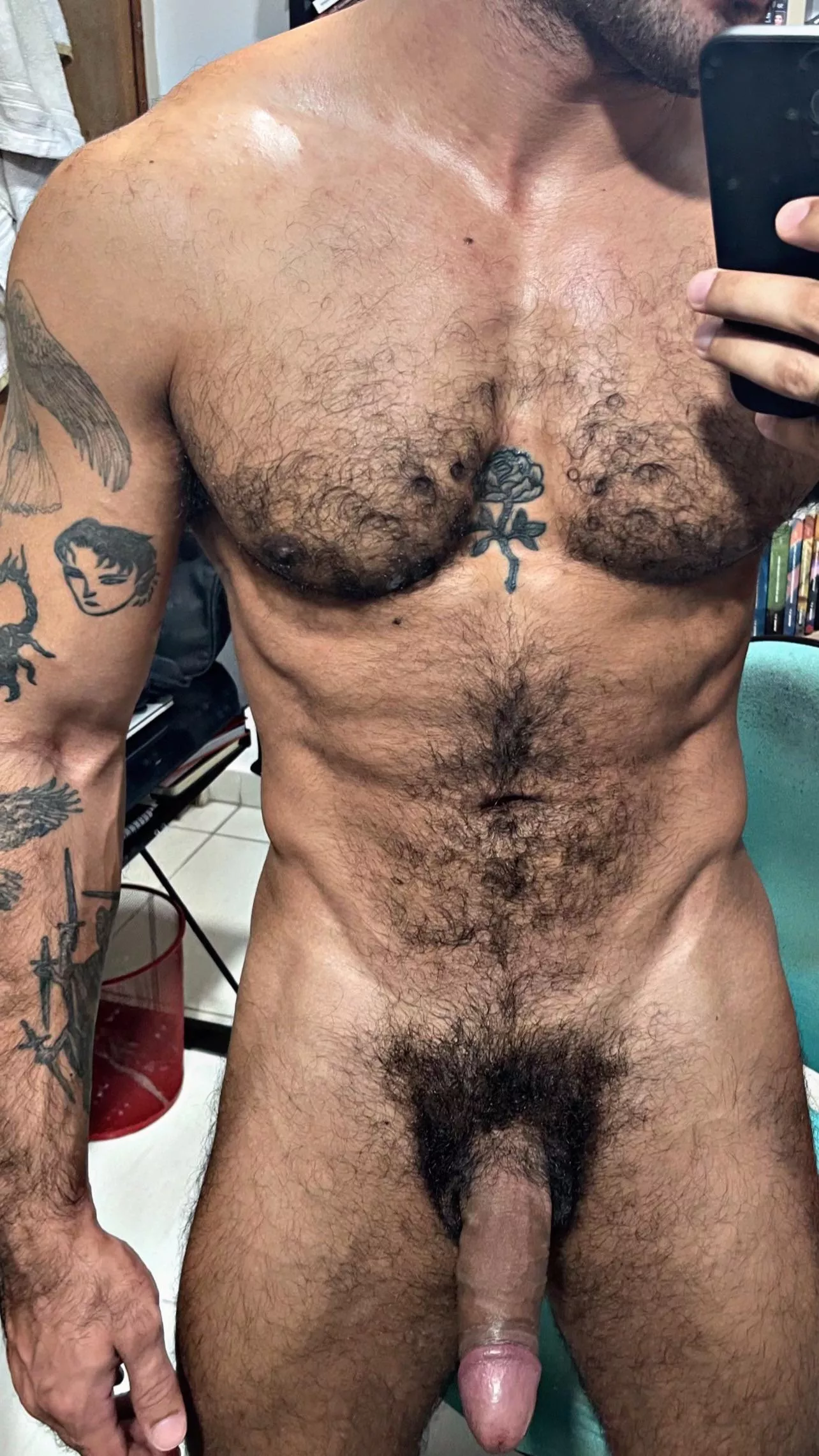 Hairy chest and cock. Do you want to sniff?