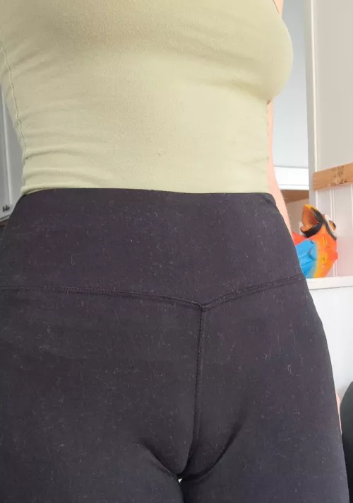 Should have worn panties lol