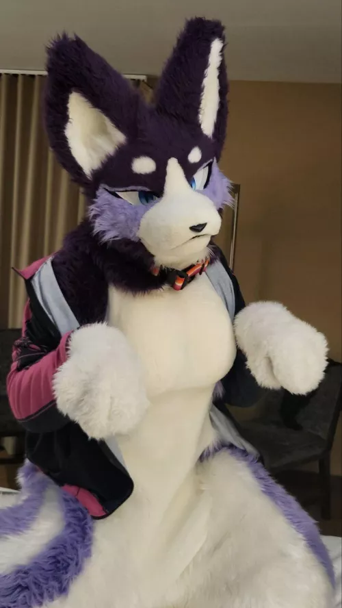 Where are my dinosaur gummies? I'm hungry!