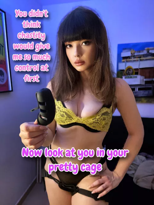 Your pretty cage... [oc]