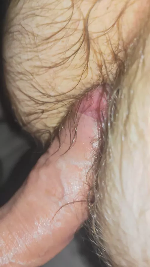 Dick on a hairy asshole