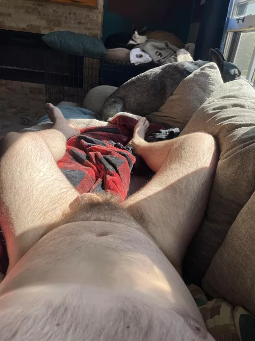 Hope the hot neighbor sees me! Love having the couch by the front window! 😝