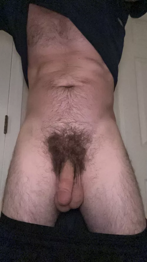 I’m thinking about shaving , what do you think?