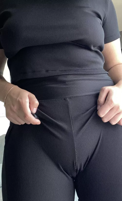 Such a thick camel s paw