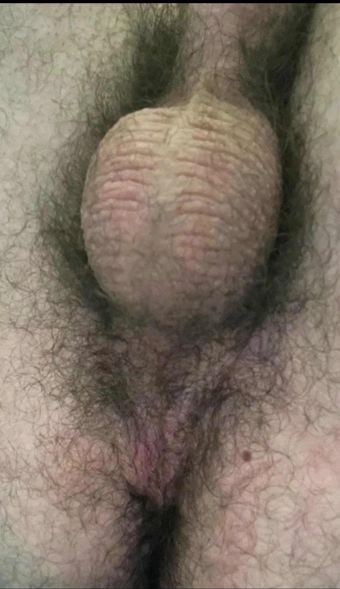 This kind of hairy ass likes older men. (27)
