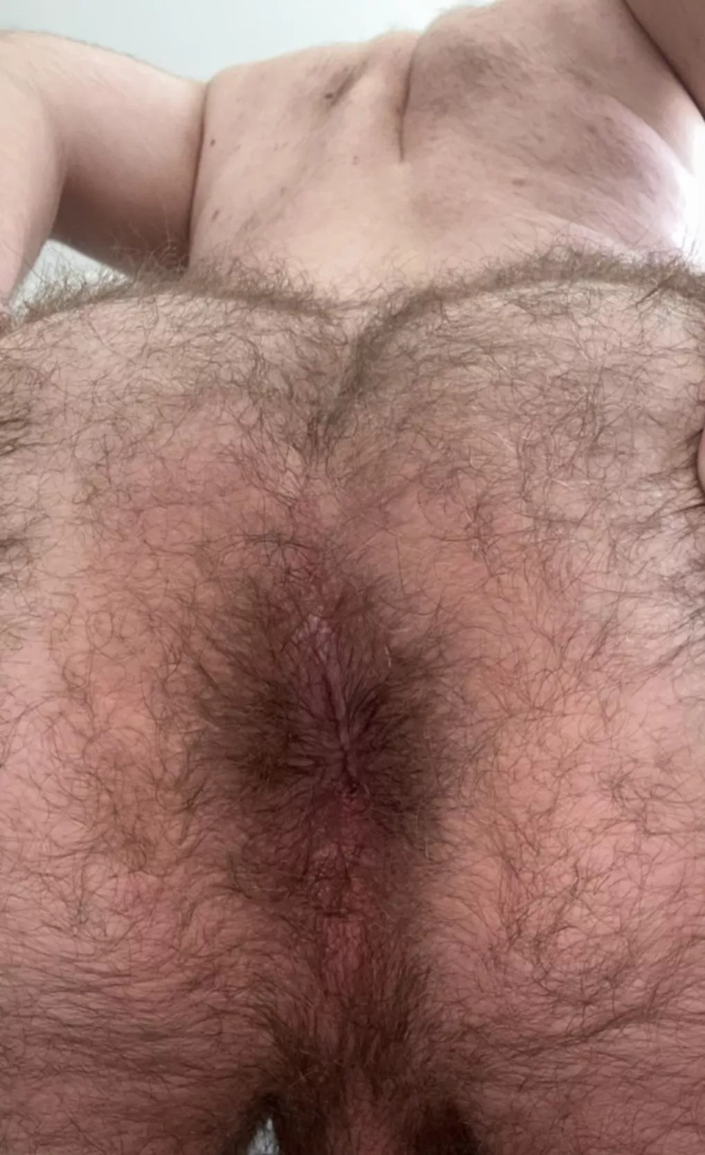 Do you like my hairy ass? 