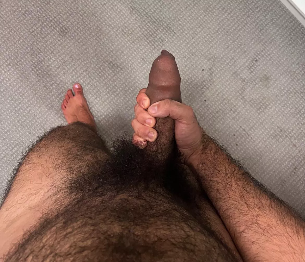 Musky, hairy, uncut brown penis