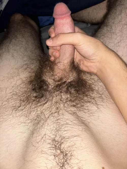 19 lmk what you think about this bush :) 