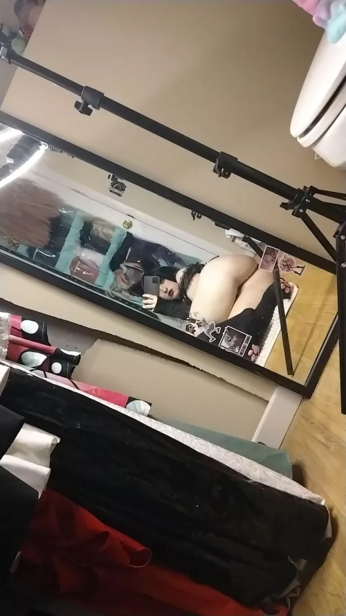 Cat girl butt (divinezpaghetti)