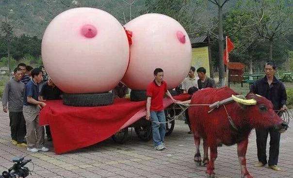 festival celebrated in China every year😂