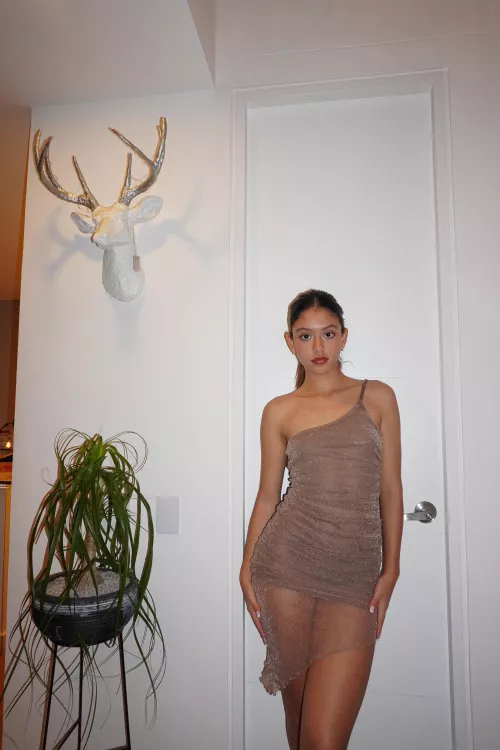 where will you take me tonight