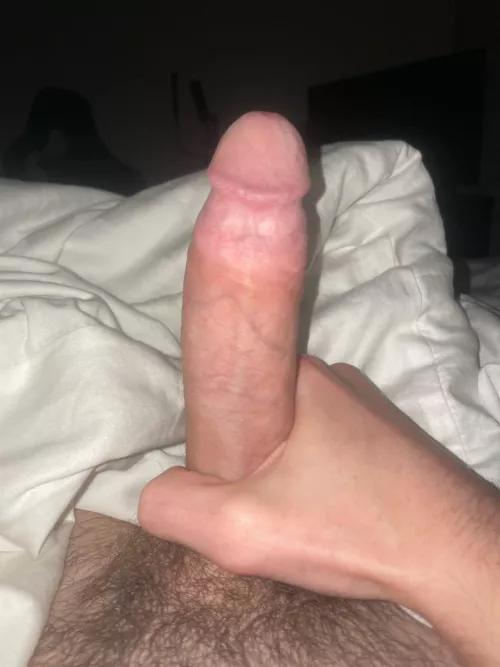23M who wants to suck it