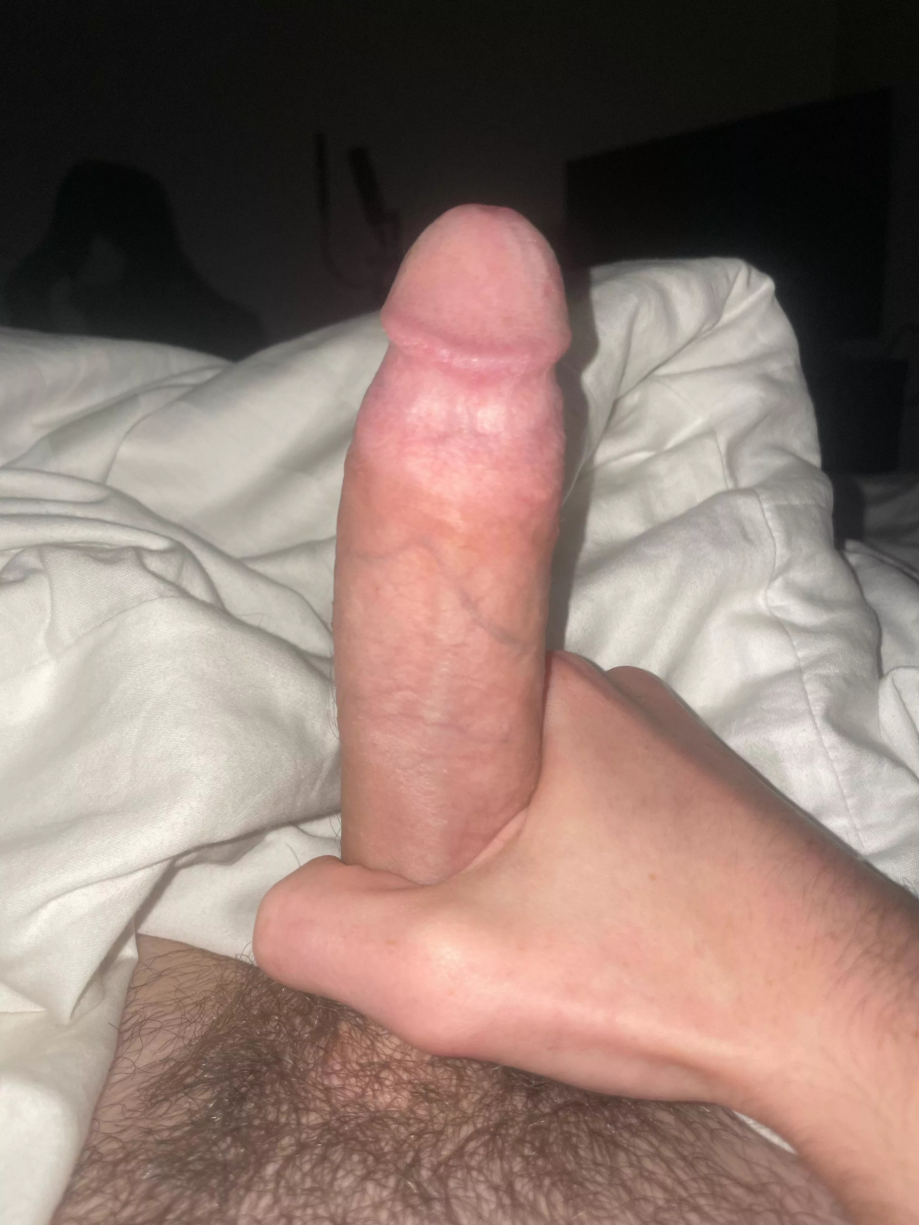 23M who wants to suck it