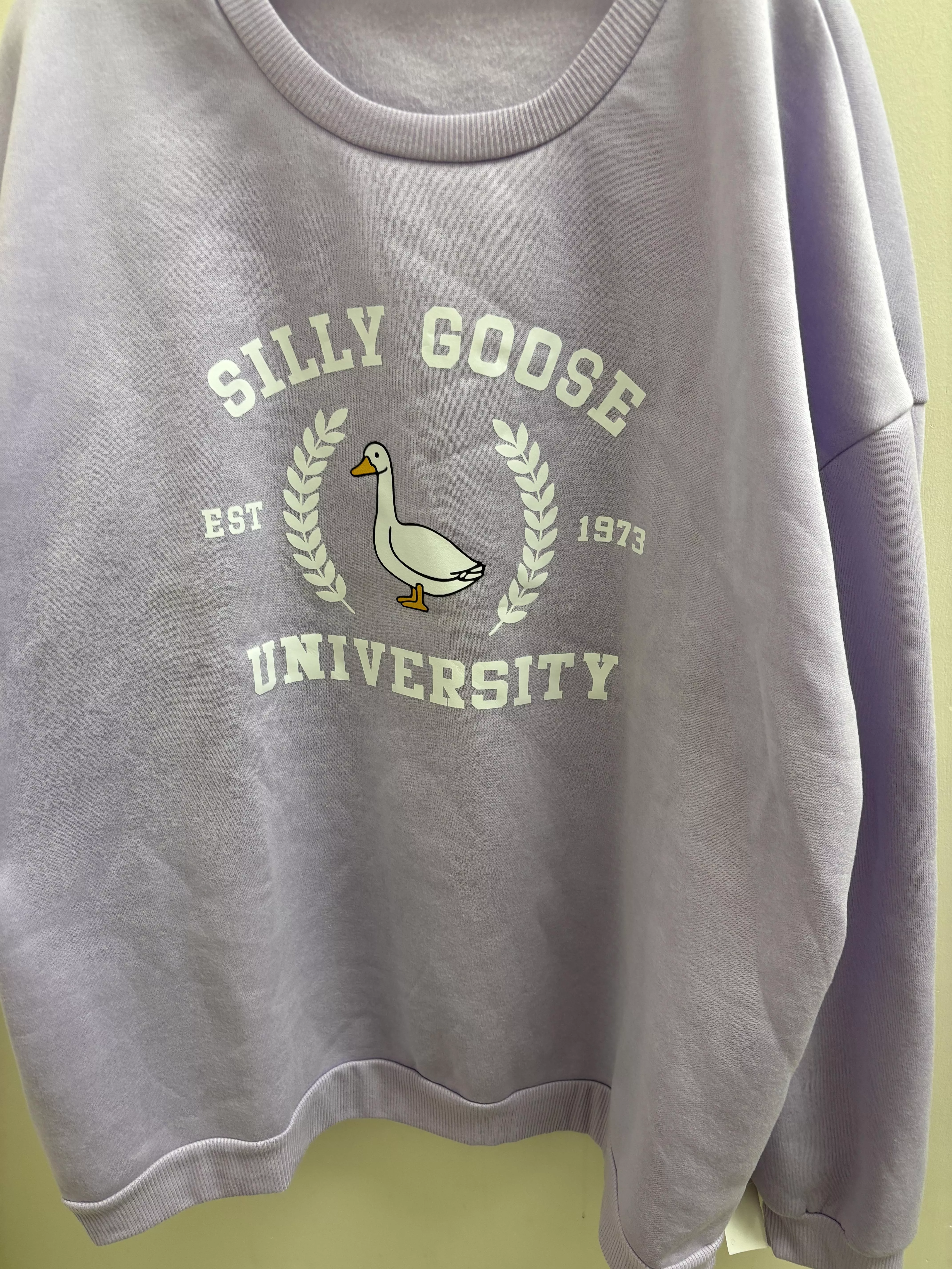 Ahh best thrift store find!