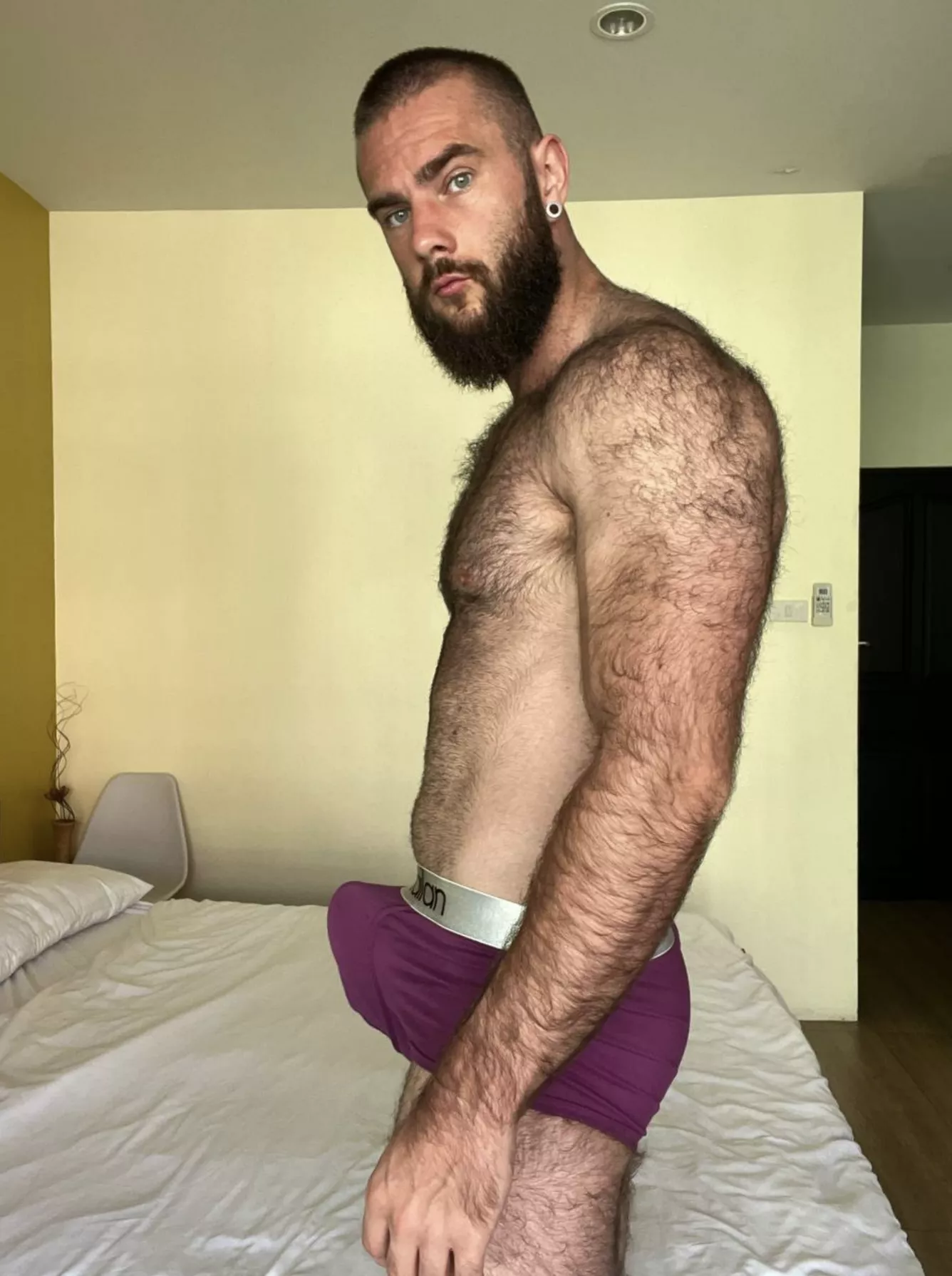 Bear in training, in briefs