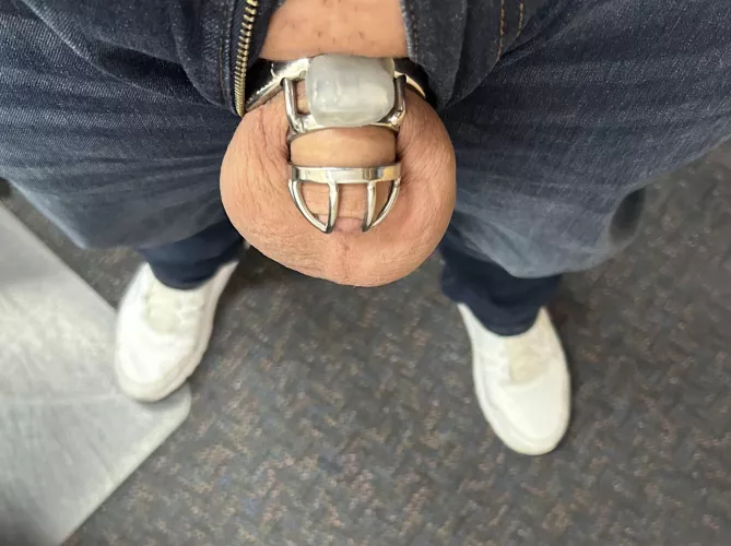 Cage Check Day 340 back in the office today 