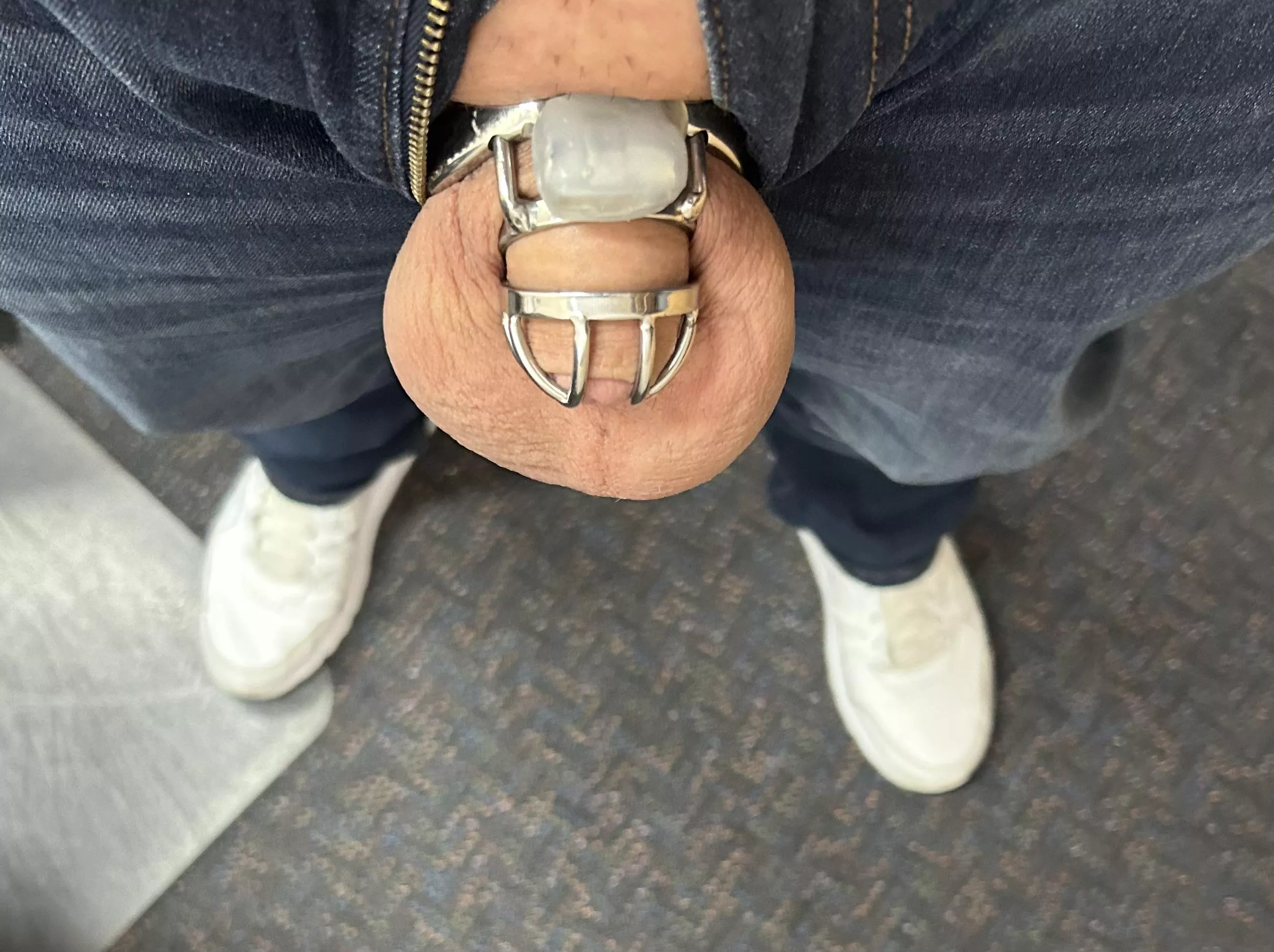 Cage Check Day 340 back in the office today 