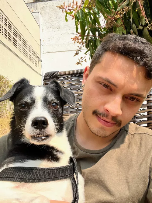 Hey Gaymers, do you like dogs?