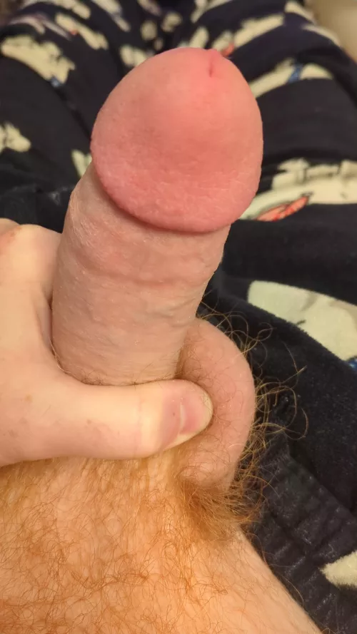 Looking for a jerk mate 