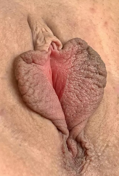 Spread my 🦋 with your 👅