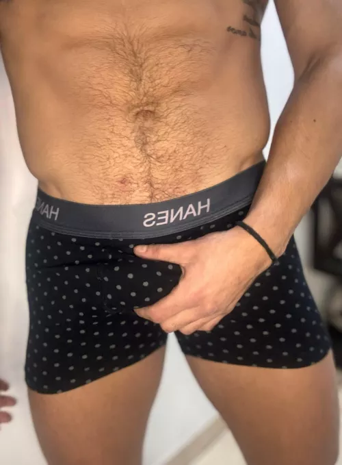 when an alpha male takes control, you better be prepared for the ride of your life