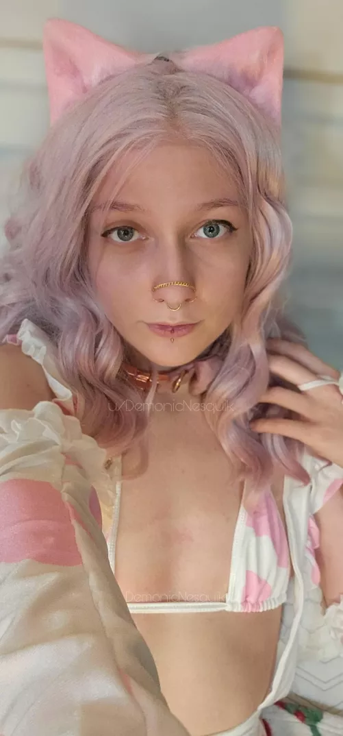 Catgirl maid at your service