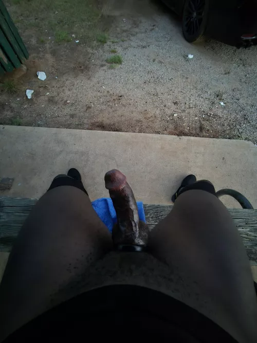 Evenings at the park