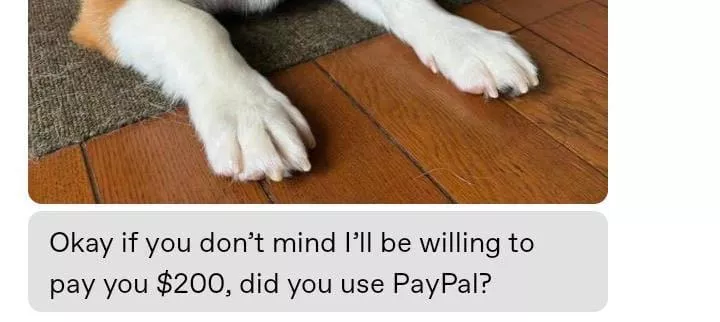 How I politely refuse scam?